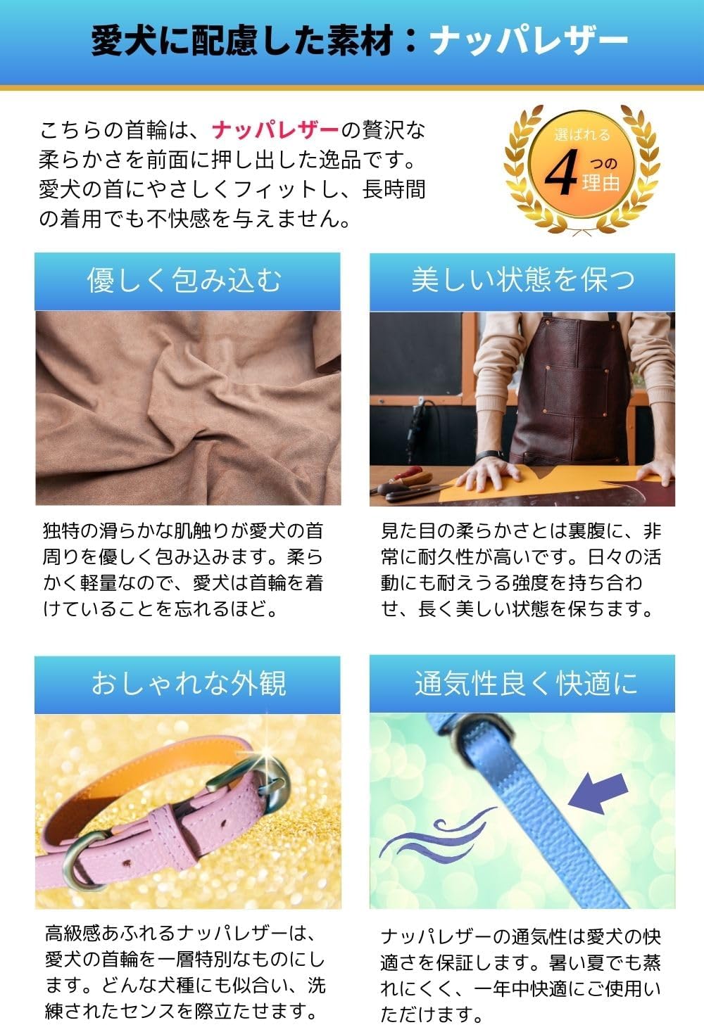 Amidiio(アミーディオ) 犬 首輪 小型犬 革 【愛犬に寄り添う柔らかレザー】柔らかい 丈夫 小型犬用首輪 おしゃれ かわいい ブルー