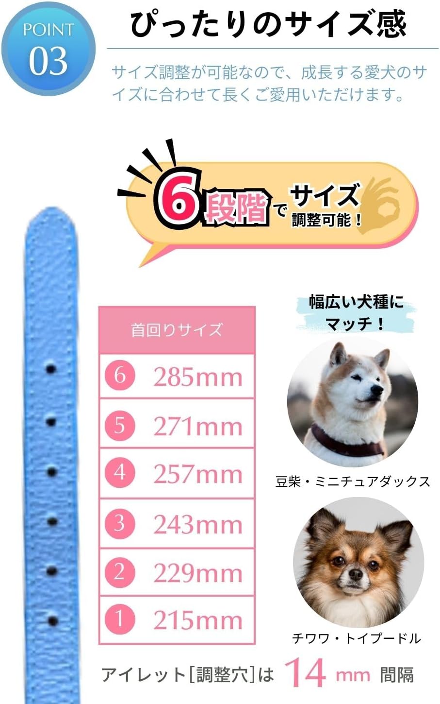 Amidiio(アミーディオ) 犬 首輪 小型犬 革 【愛犬に寄り添う柔らかレザー】柔らかい 丈夫 小型犬用首輪 おしゃれ かわいい ブルー